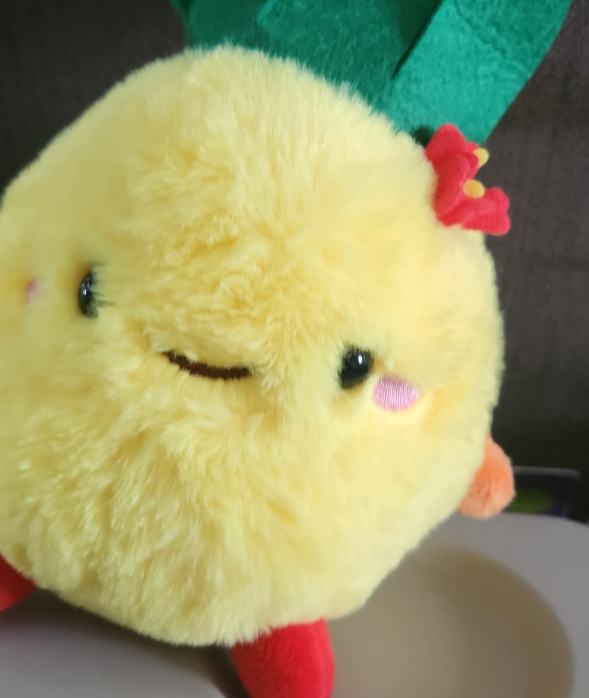 イザドラ